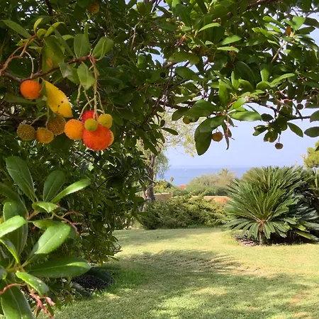 Magnolia Bed & Breakfast