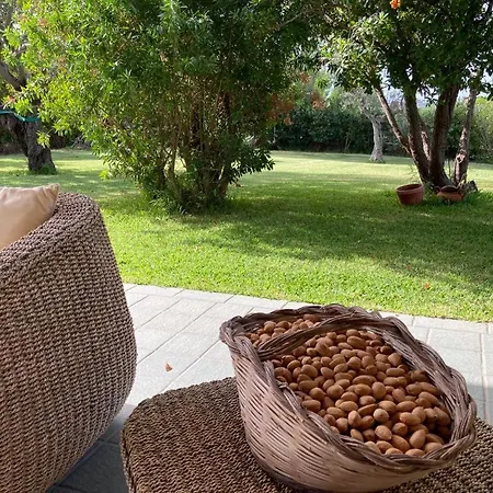 Magnolia Bed & Breakfast Augusta